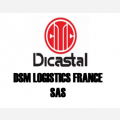 DSM logistics france