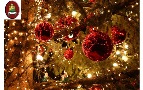 NOEL DES JEUNES - ARTICLES DE PRESSE